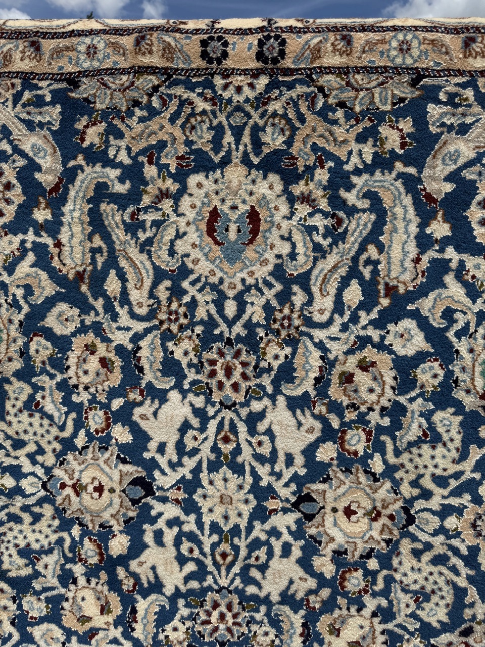 18840568831