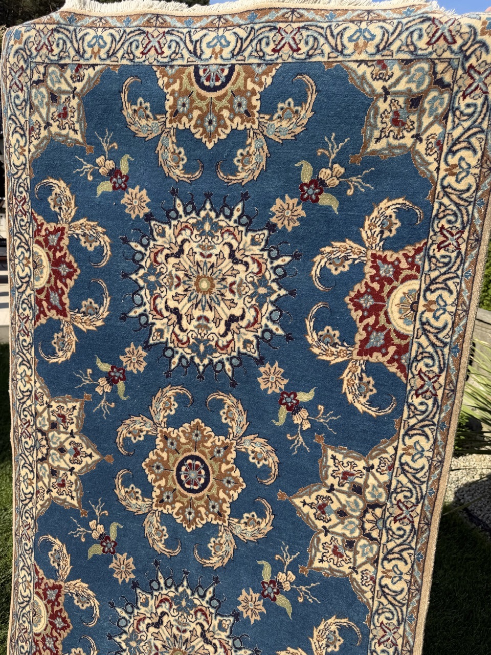 18851144884