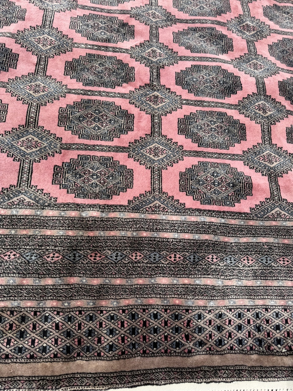 18869613102