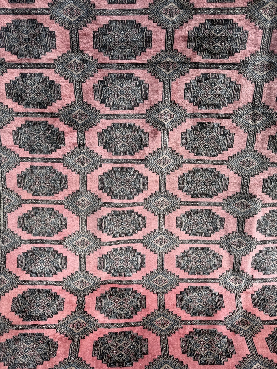18869613102