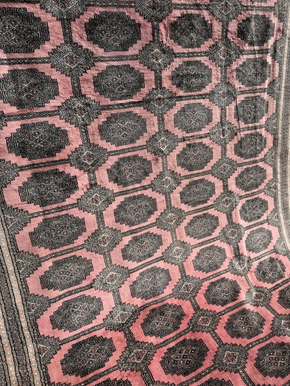 18869613102