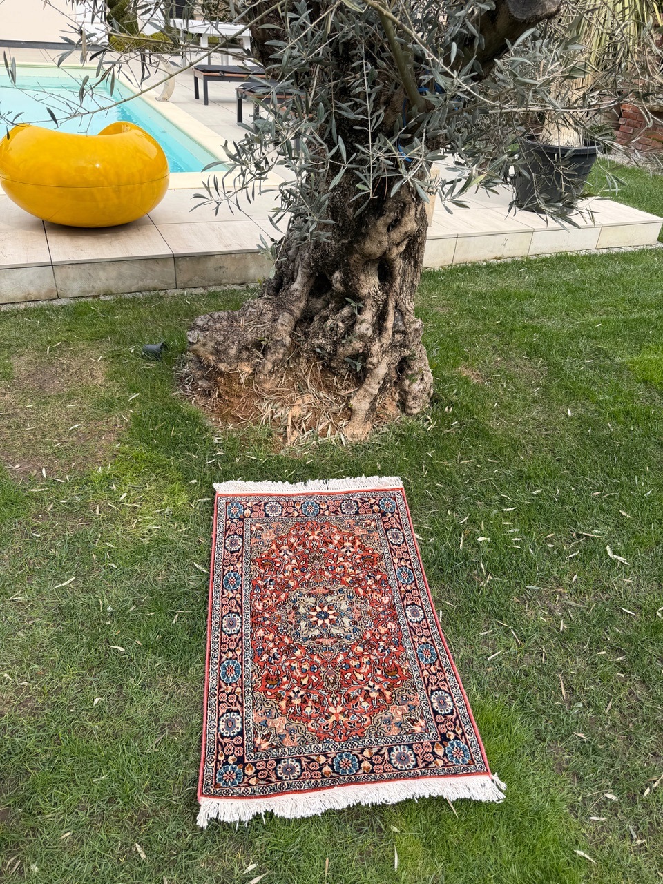 18885964876