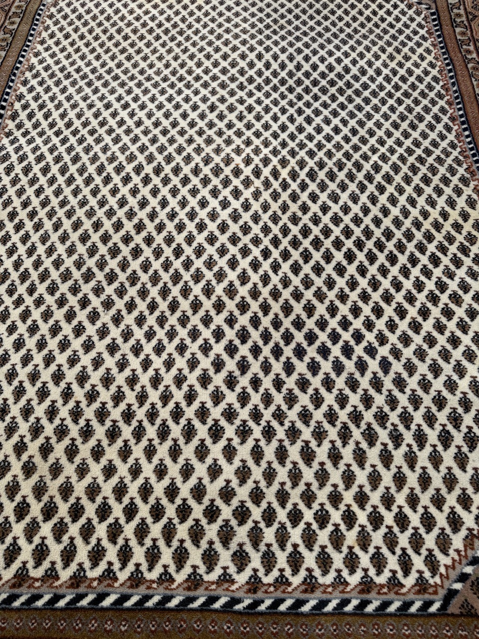 18767927295