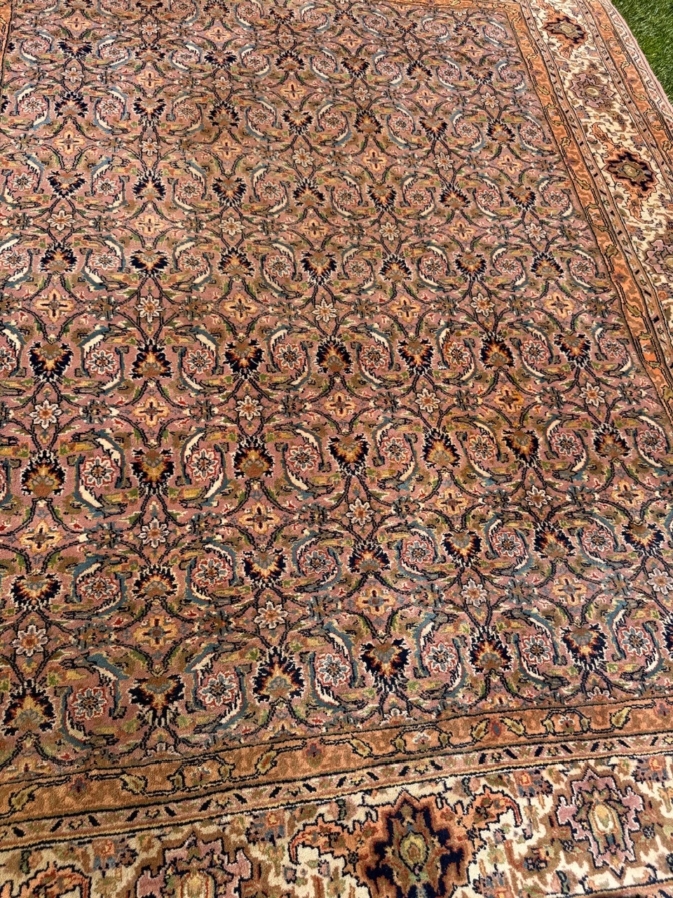18888778886
