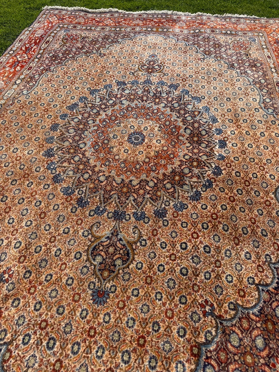 18913680490