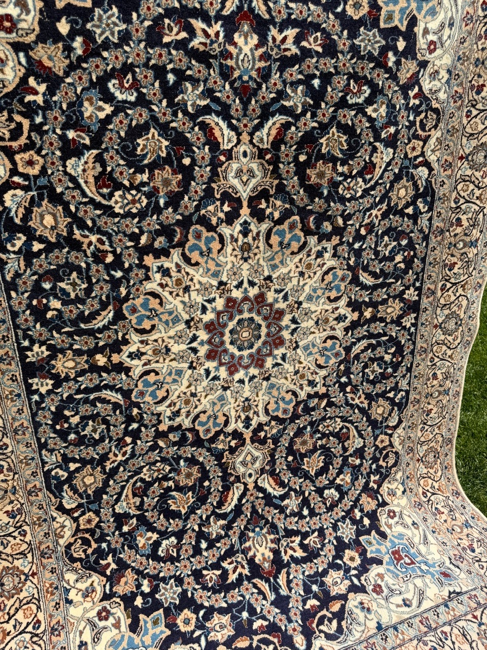 18926739231