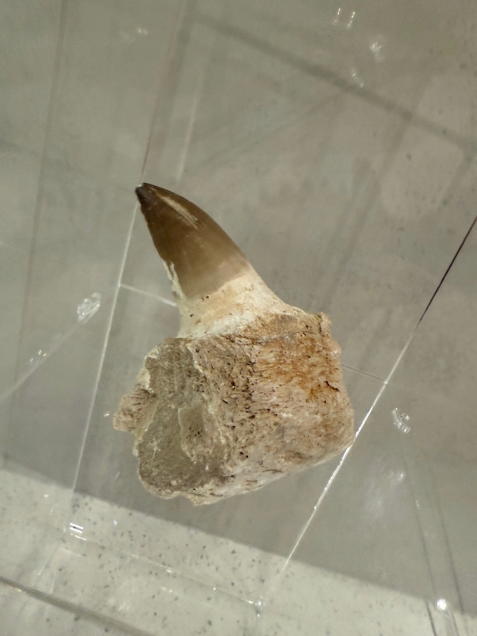 18969609725
